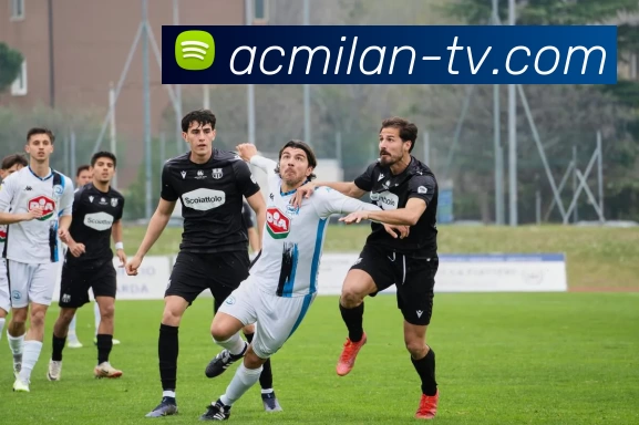 App Interface Preview