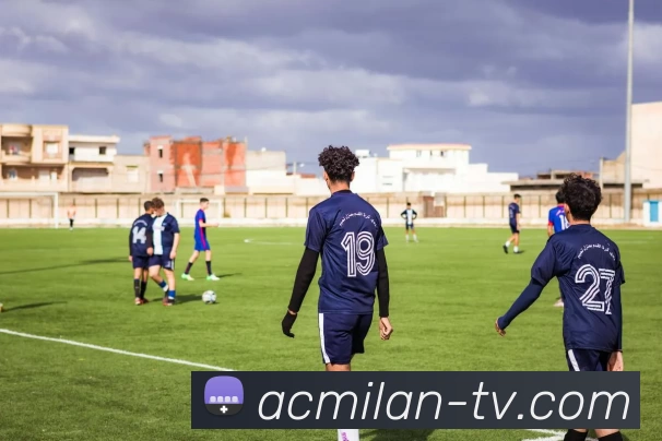 米兰平台APP 封面图